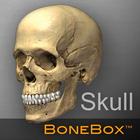 آیکون‌ BoneBox™ - Skull Viewer