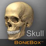 BoneBox™ - Skull Viewer icône