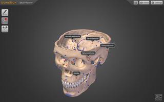 BoneBox™ - Skull Viewer تصوير الشاشة 1