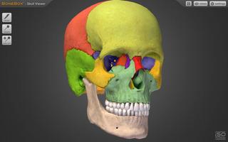BoneBox™ - Skull Viewer تصوير الشاشة 2