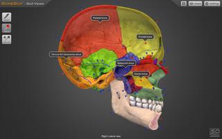 BoneBox™ - Skull Viewer स्क्रीनशॉट 3