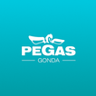 Pegas-Gonda иконка