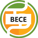 BECE TestDriller 2025 APK