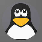 Master In Linux icône