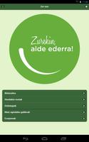 Tolosaldean Zer Non-poster