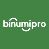 Binumi Pro icône