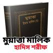মুয়াত্তা মালিক