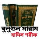 বুলুগুল মারাম APK