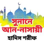 সুনানে আন-নাসায়ী