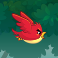 Droopy Bird