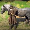 ”Horse Games: Wild Horse Star