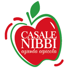 Casale Nibbi icône