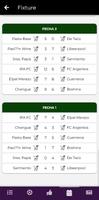 Copa FS скриншот 2