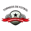 Torneo Campeones del Sur