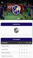 Torneos De Puntin ภาพหน้าจอ 1