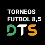 Dts 아이콘