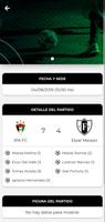 Torneo Fui a la Pelota স্ক্রিনশট 3