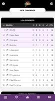 LIGA ANUAL DE FUTBOL Affiche