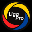 Liga Pro Pilarense أيقونة