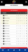 Liga Pro Pilarense Affiche