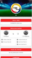 Liga Pro Pilarense capture d'écran 3