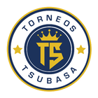 Torneos Tsubasa icono