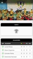 Torneos Victoria screenshot 1