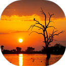 Good News Bible APK