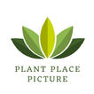 Plant Place Picture