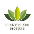 Plant Place icône