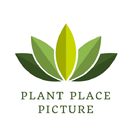 Plant Place Picture APK