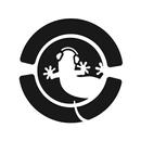 Ibiza Global Radio APK