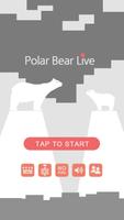 Polar Bear Live bài đăng