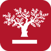 XXII Congreso IEF APK