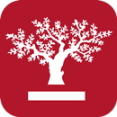 XXII Congreso IEF APK
