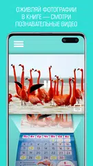 AR looklook XAPK 下載