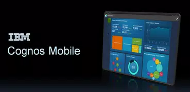 IBM Cognos Analytics Reports