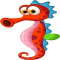 Ibnhamido