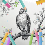 Birdwatchers Coloring Pages