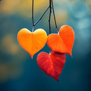 Cute Aesthetic Wallpaper HD APK