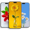 Aesthetic Flower Wallpapers hd APK