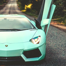 Beautiful Lamborghini Offine APK