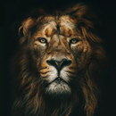 Lions Wallpapers Offline APK