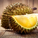 APK Durian