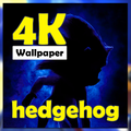 Hedgehog 4K Wallpapers