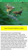 برنامه‌نما Catfish Fishing عکس از صفحه
