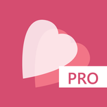 iBride Pro