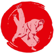 iBudokan Judo icon