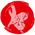 iBudokan Judo