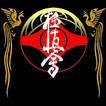 iBudokan Kyokushinkai icon